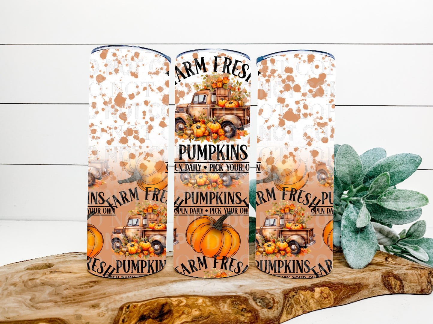 Farm Fresh Pumpkins Semi TRANSPARENT Wrap