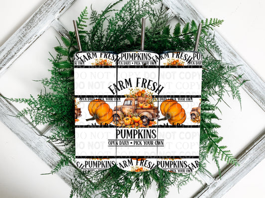 Farm Fresh Pumpkins TRANSPARENT Wrap