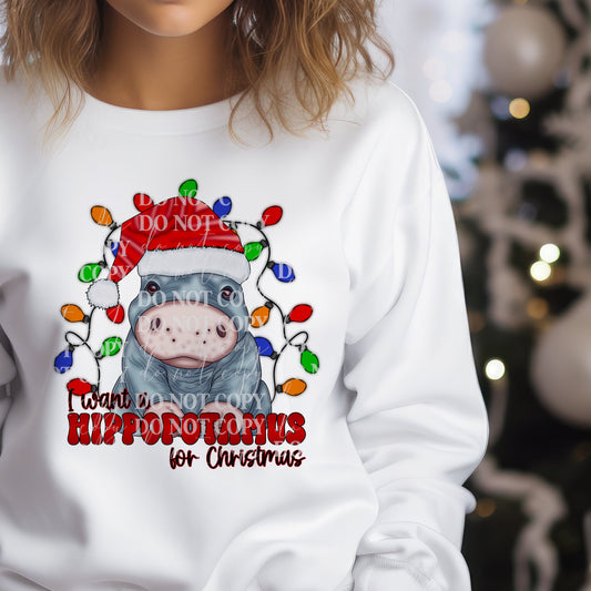 I Want A Hippopotamus For Christmas PNG