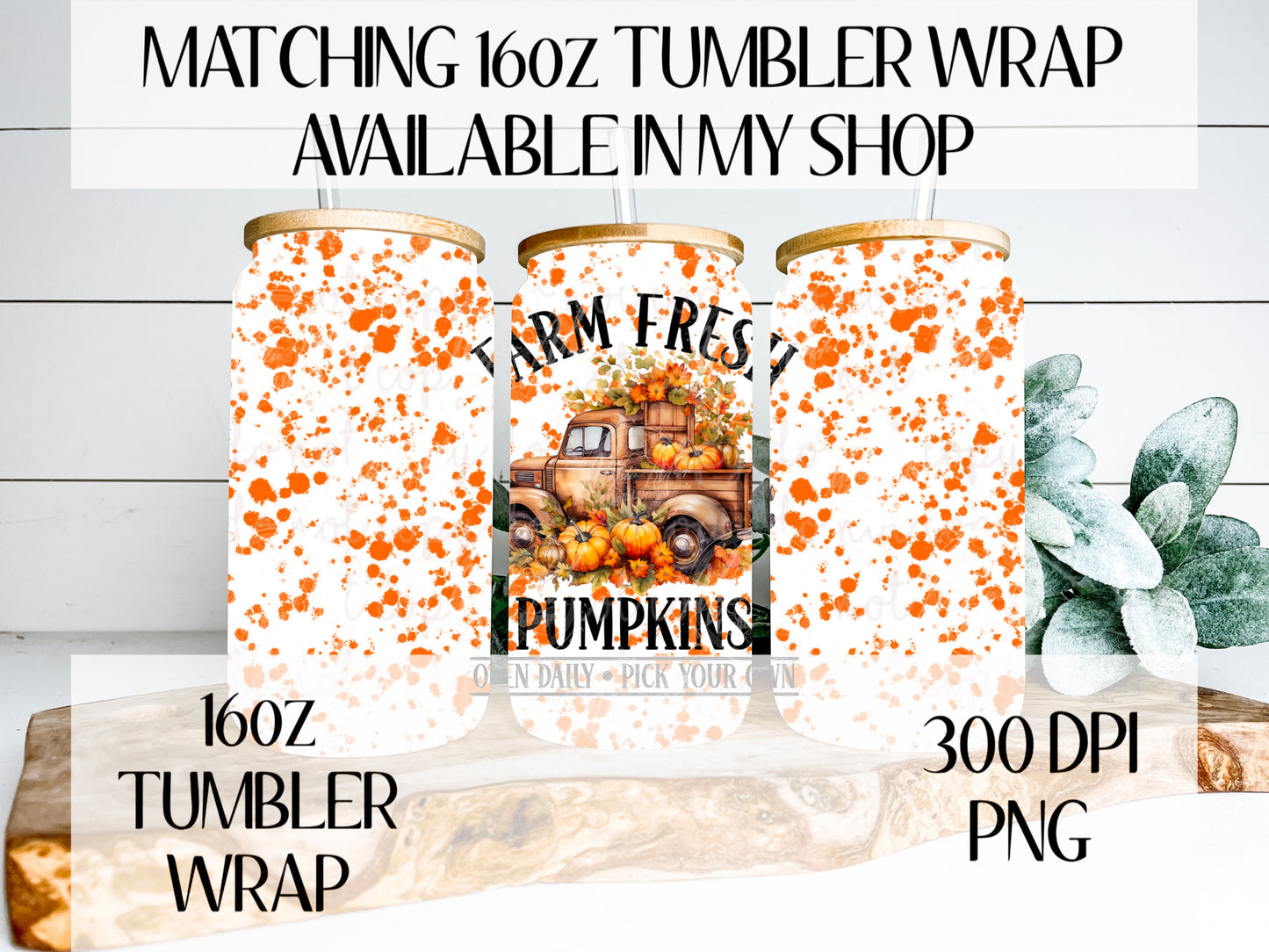 Farm Fresh Pumpkins Semi TRANSPARENT Wrap