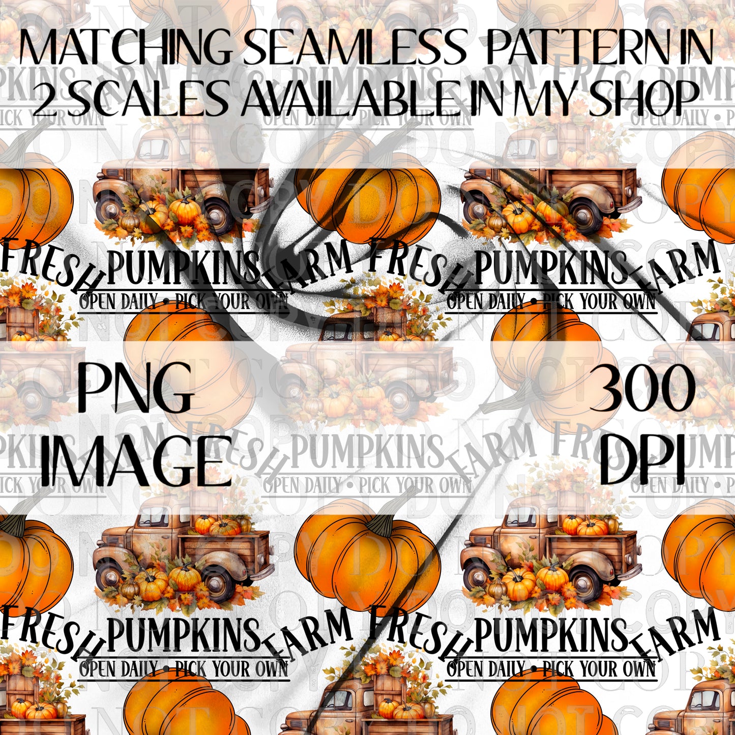 Farm Fresh Pumpkins Semi TRANSPARENT Wrap