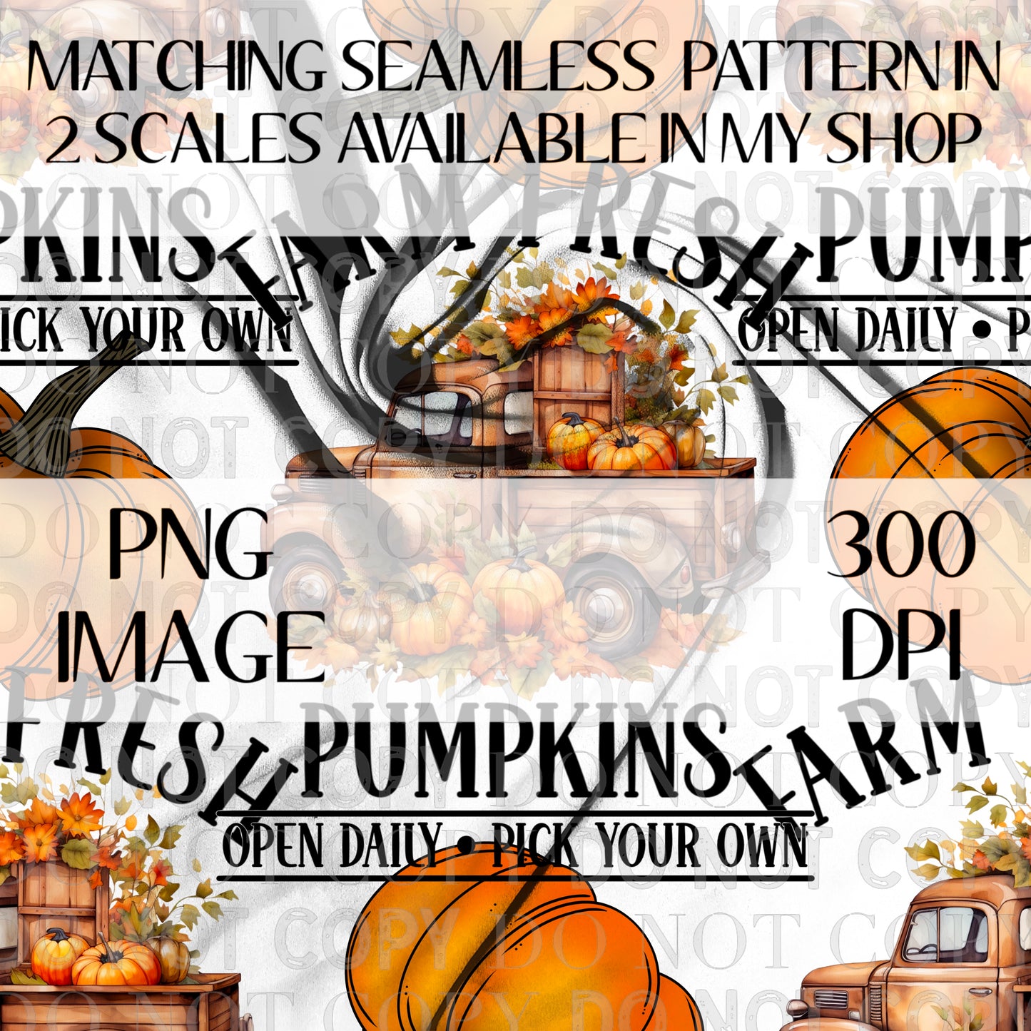 Farm Fresh Pumpkins Semi TRANSPARENT Wrap