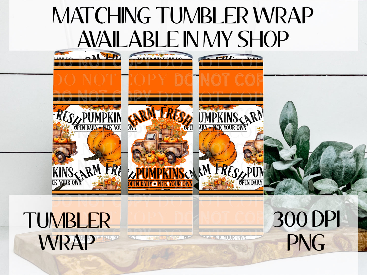 Farm Fresh Pumpkins Semi TRANSPARENT Wrap