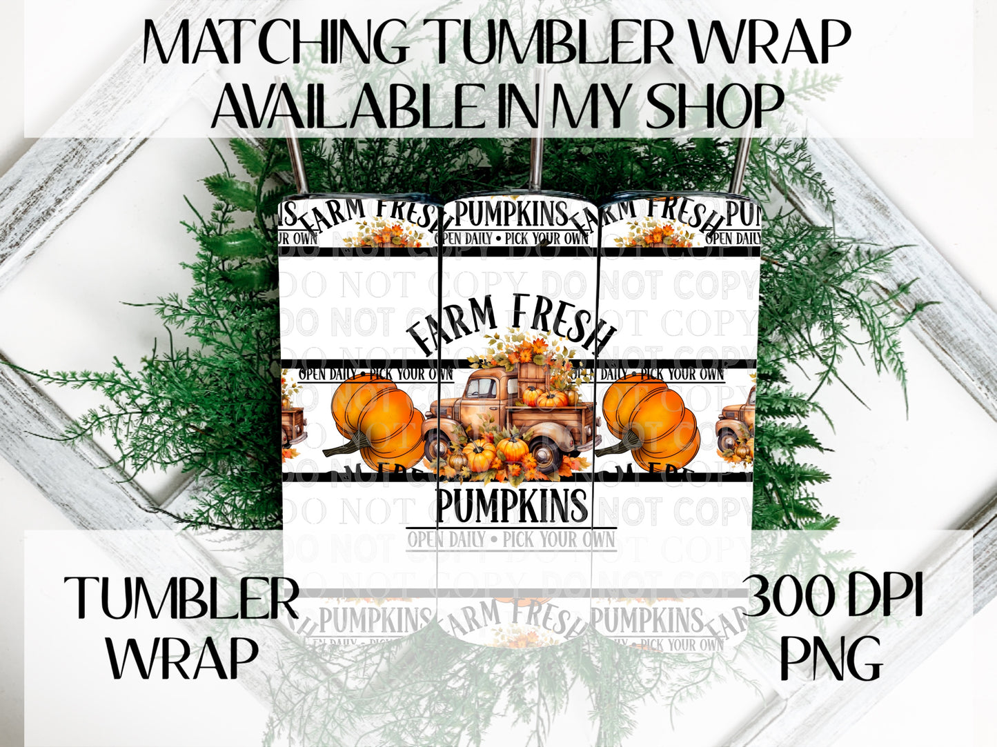 Farm Fresh Pumpkins Semi TRANSPARENT Wrap